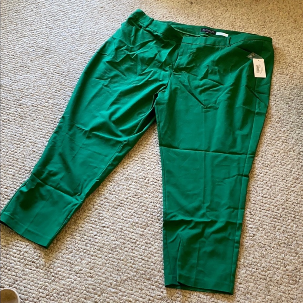 Eloqqui Kady Pants: Plus Size